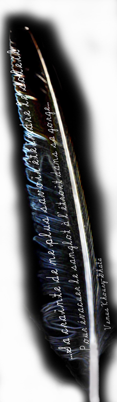 autres_oeuvres