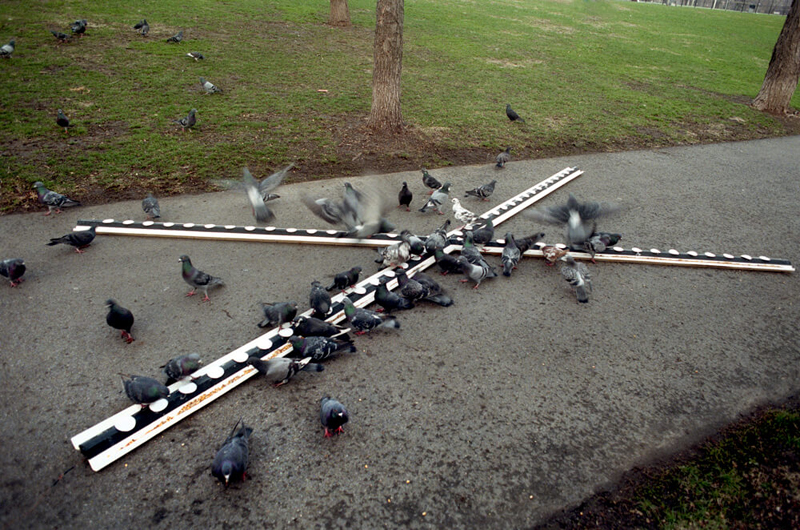 land_art
