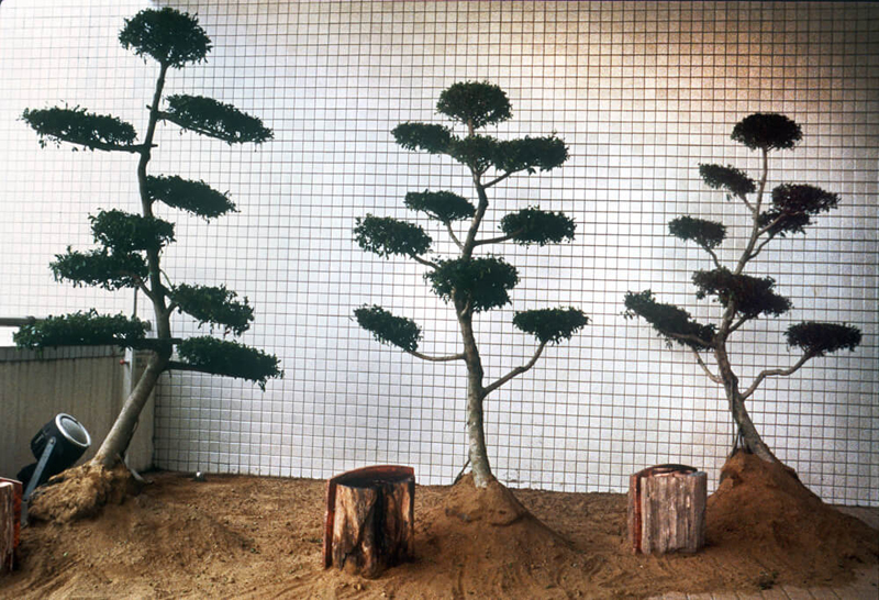 land_art