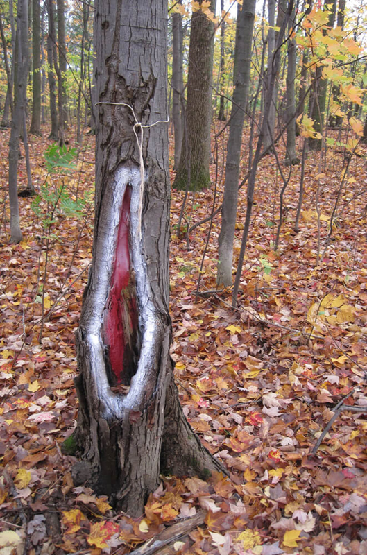 land_art